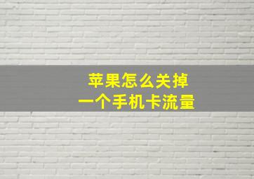 苹果怎么关掉一个手机卡流量