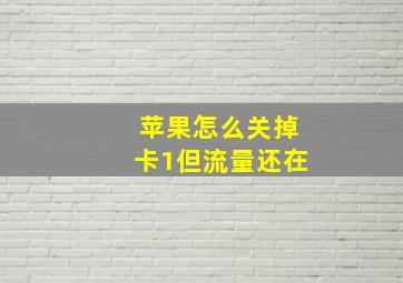 苹果怎么关掉卡1但流量还在