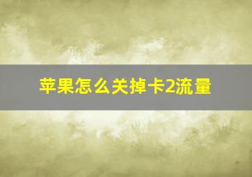 苹果怎么关掉卡2流量