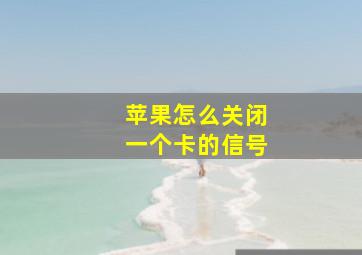 苹果怎么关闭一个卡的信号