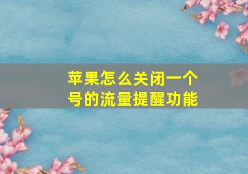 苹果怎么关闭一个号的流量提醒功能