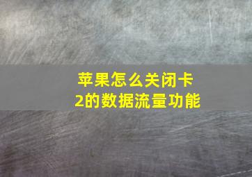 苹果怎么关闭卡2的数据流量功能