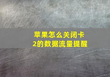 苹果怎么关闭卡2的数据流量提醒