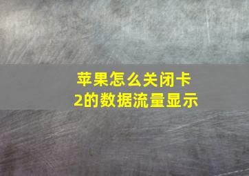 苹果怎么关闭卡2的数据流量显示