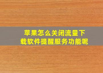 苹果怎么关闭流量下载软件提醒服务功能呢