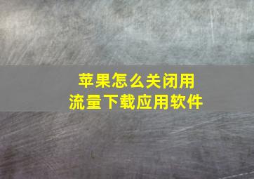 苹果怎么关闭用流量下载应用软件