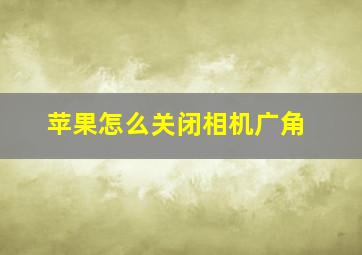 苹果怎么关闭相机广角