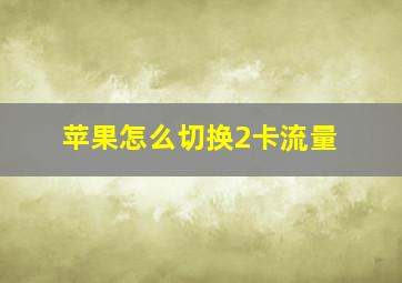 苹果怎么切换2卡流量