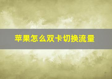 苹果怎么双卡切换流量