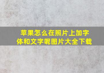 苹果怎么在照片上加字体和文字呢图片大全下载