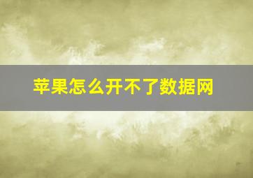 苹果怎么开不了数据网