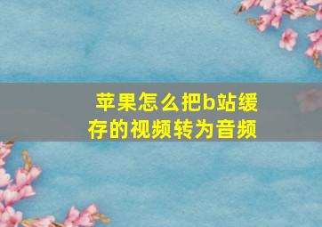 苹果怎么把b站缓存的视频转为音频