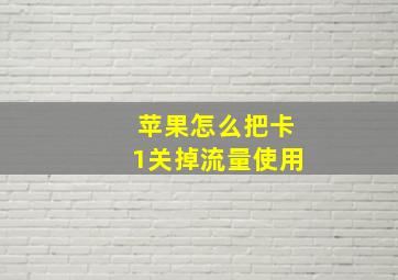 苹果怎么把卡1关掉流量使用