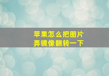 苹果怎么把图片弄镜像翻转一下