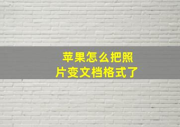 苹果怎么把照片变文档格式了