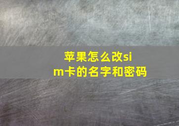 苹果怎么改sim卡的名字和密码