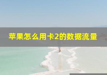 苹果怎么用卡2的数据流量