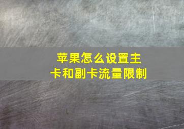 苹果怎么设置主卡和副卡流量限制