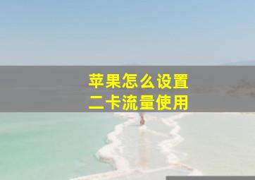 苹果怎么设置二卡流量使用