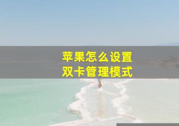 苹果怎么设置双卡管理模式