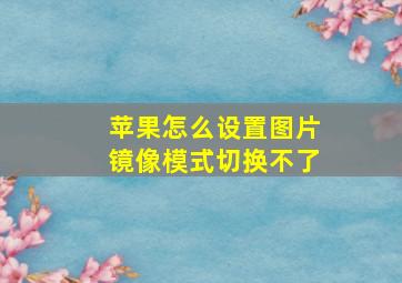 苹果怎么设置图片镜像模式切换不了