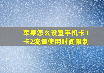 苹果怎么设置手机卡1卡2流量使用时间限制