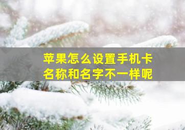 苹果怎么设置手机卡名称和名字不一样呢