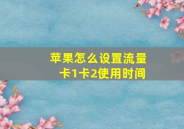 苹果怎么设置流量卡1卡2使用时间