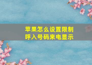 苹果怎么设置限制呼入号码来电显示