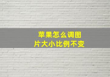 苹果怎么调图片大小比例不变