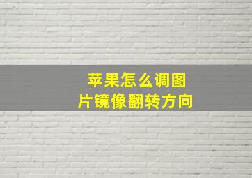 苹果怎么调图片镜像翻转方向