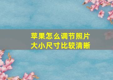 苹果怎么调节照片大小尺寸比较清晰