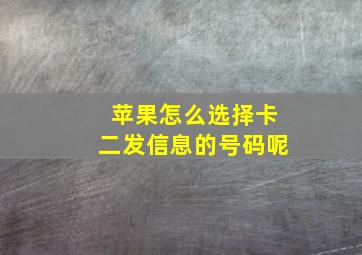 苹果怎么选择卡二发信息的号码呢