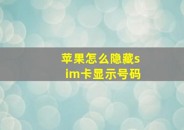 苹果怎么隐藏sim卡显示号码