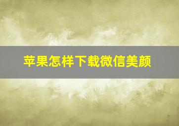 苹果怎样下载微信美颜