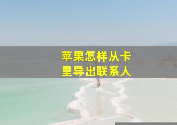 苹果怎样从卡里导出联系人