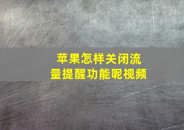 苹果怎样关闭流量提醒功能呢视频