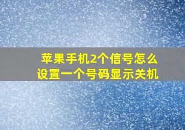 苹果手机2个信号怎么设置一个号码显示关机