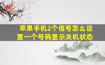 苹果手机2个信号怎么设置一个号码显示关机状态