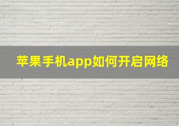 苹果手机app如何开启网络