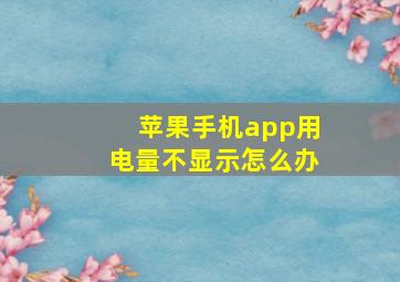 苹果手机app用电量不显示怎么办