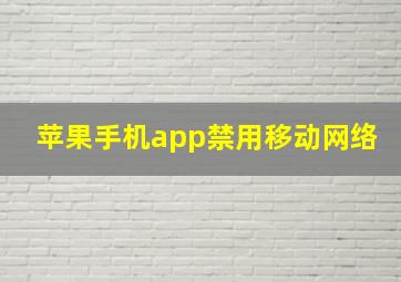 苹果手机app禁用移动网络