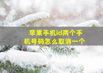 苹果手机id两个手机号码怎么取消一个