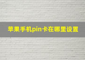 苹果手机pin卡在哪里设置