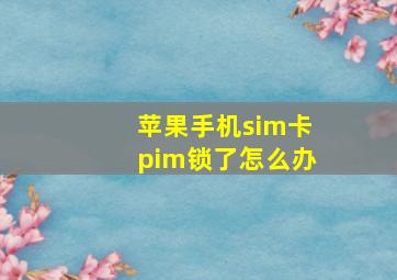 苹果手机sim卡pim锁了怎么办