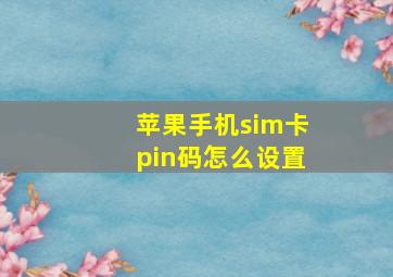 苹果手机sim卡pin码怎么设置