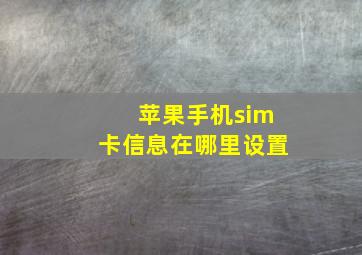 苹果手机sim卡信息在哪里设置