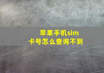 苹果手机sim卡号怎么查询不到