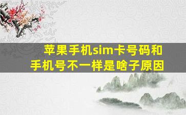 苹果手机sim卡号码和手机号不一样是啥子原因