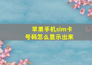 苹果手机sim卡号码怎么显示出来